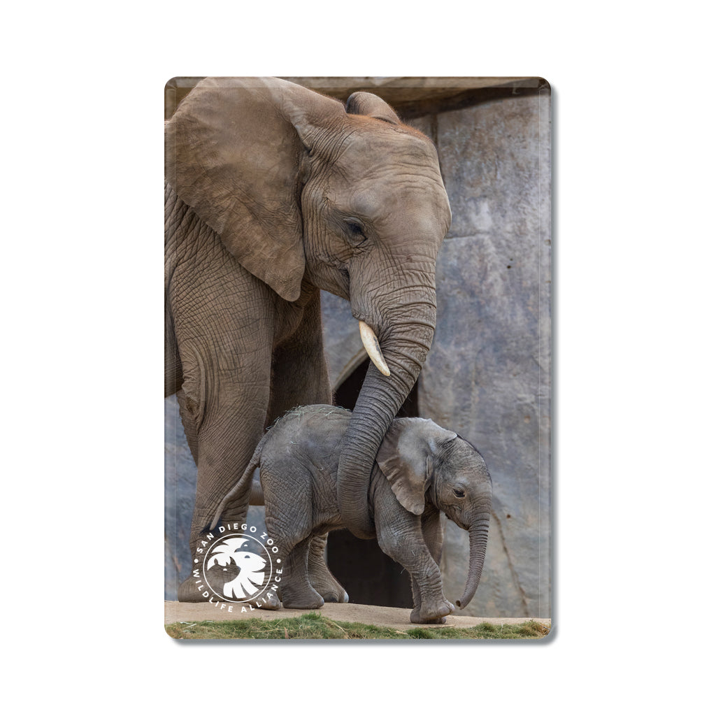 african elephant pair magnet mom baby calf 
