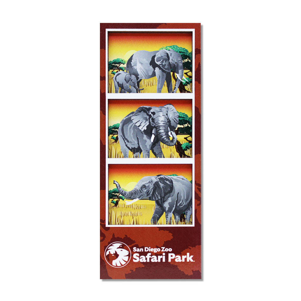 Elephant Film Strip Magnet