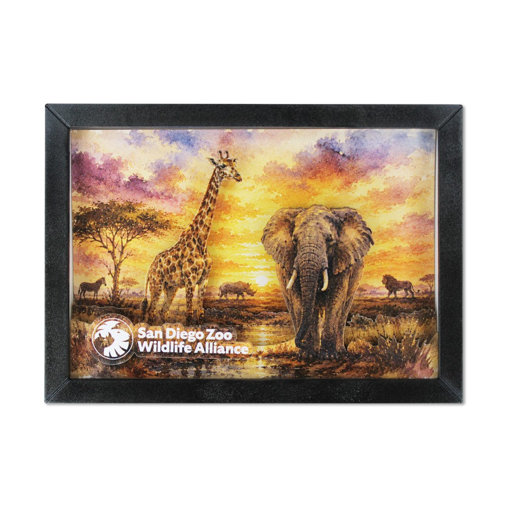 BLACK FRAMED 2D SAVANNAH SCENE MAGNET GIRAFFE ELEPHANT LION RHINO ZEBRA SDZWA SAN DIEGO ZOO WILDLIFE ALLIANCE 
