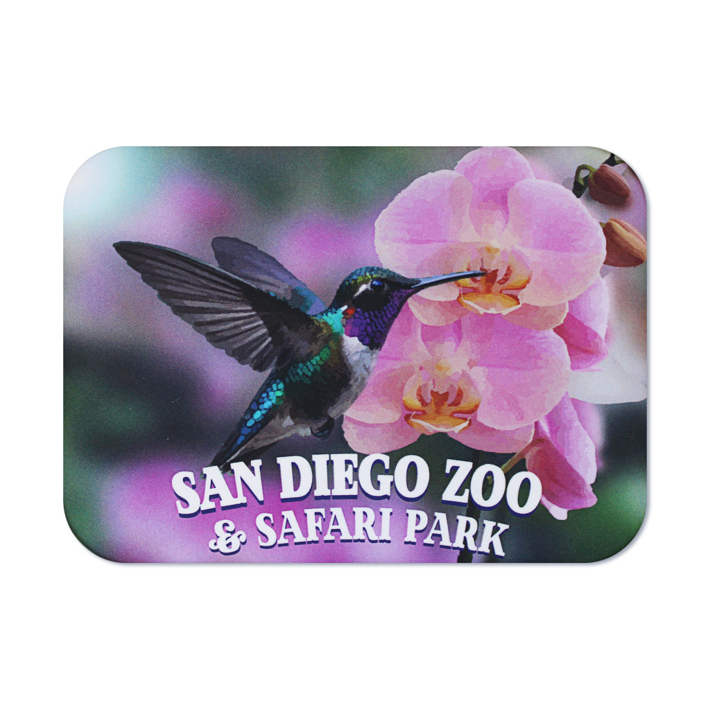 HUMMINGBIRD IN FLIGHT ORCHID MAGNET SAN DIEGO ZOO & SAFARI PARK