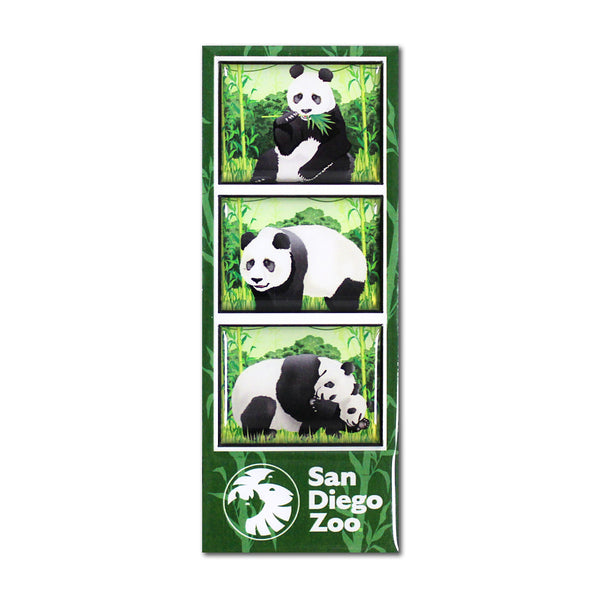 PANDA Panda Film Strip Magnet - ShopZoo