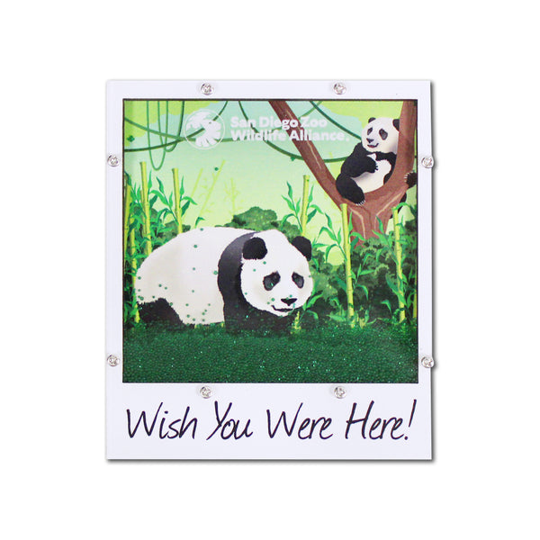 Pandaページ MAGNETPANDAPOLAROID12600155816