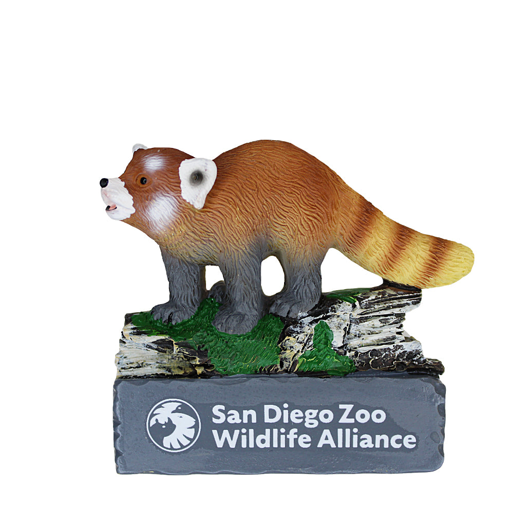 CARVED RESIN RED PANDA MAGNET SDZWA