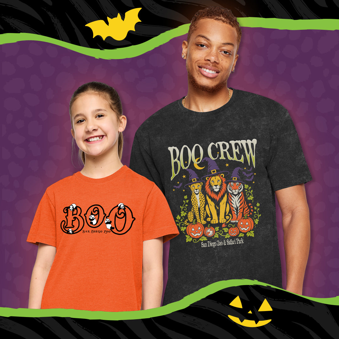 Halloween Merchandise Collection