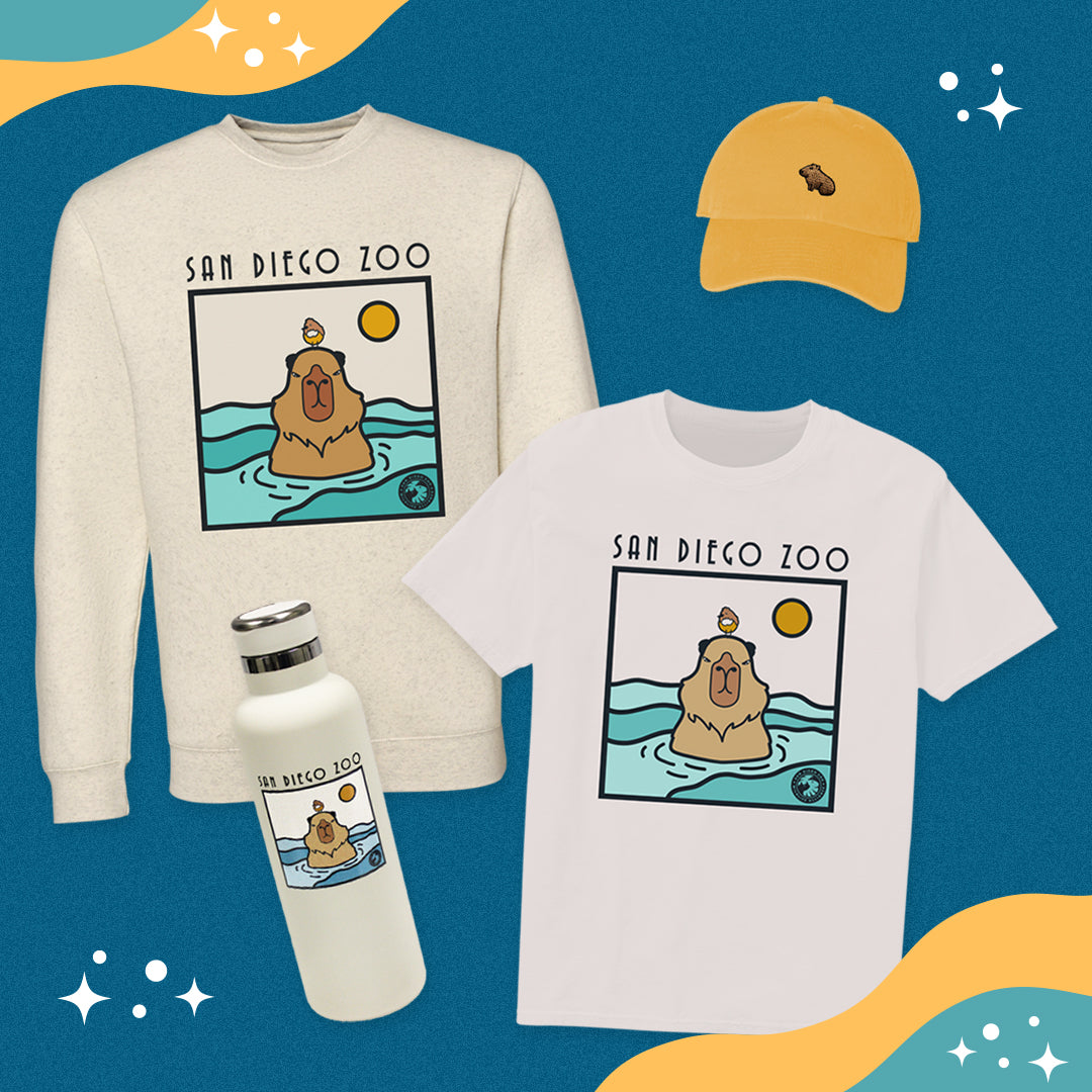 Swim Into Cool Capybara Must-haves