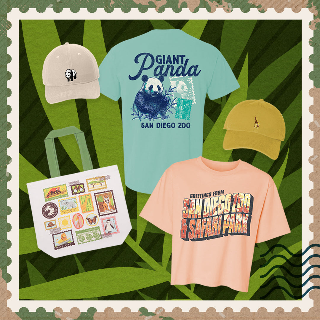 Wish You Were Here Merchandise Collection