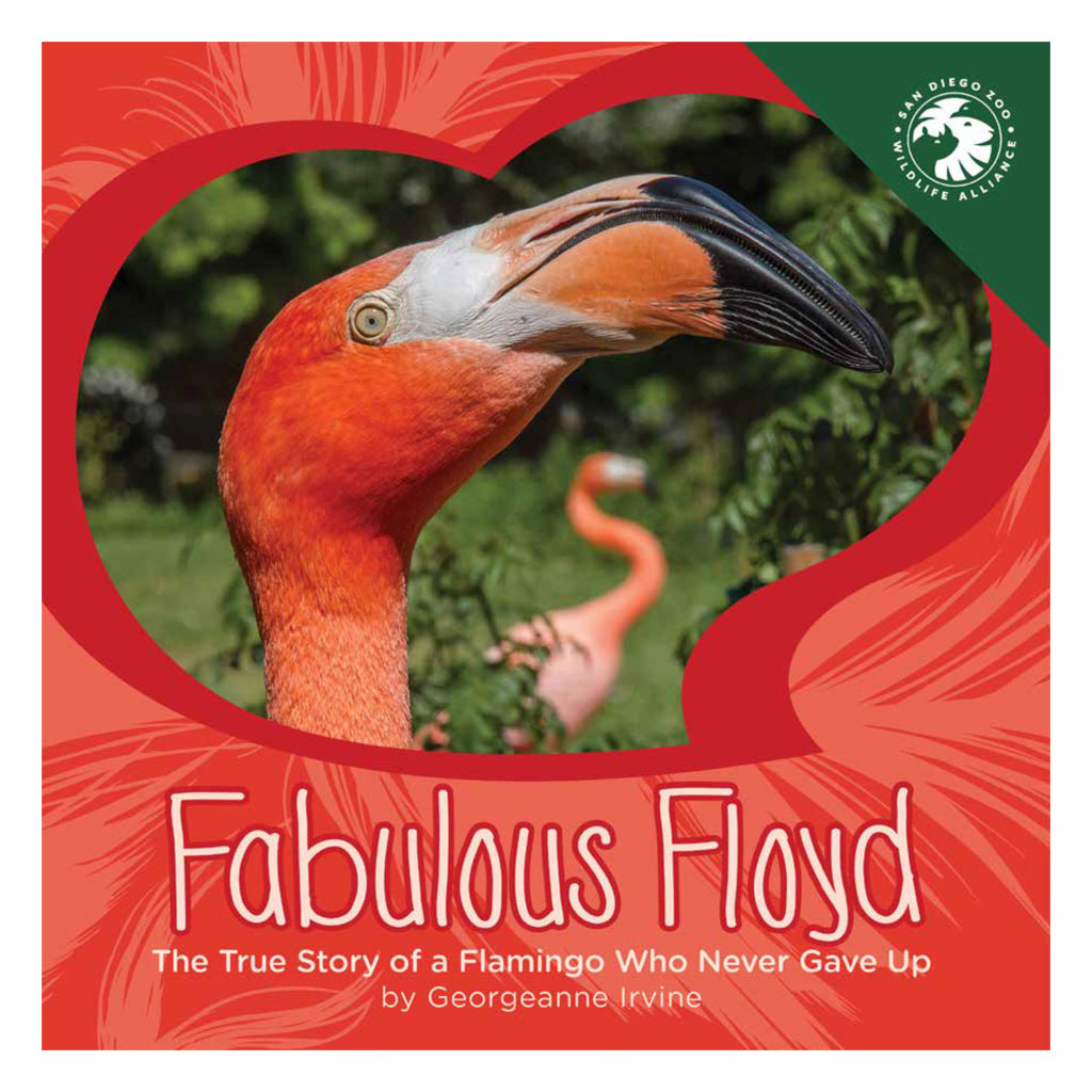 Children&#39;s Book Fabulous Floyd The True Story of a Flamingo Who Never Gave Up