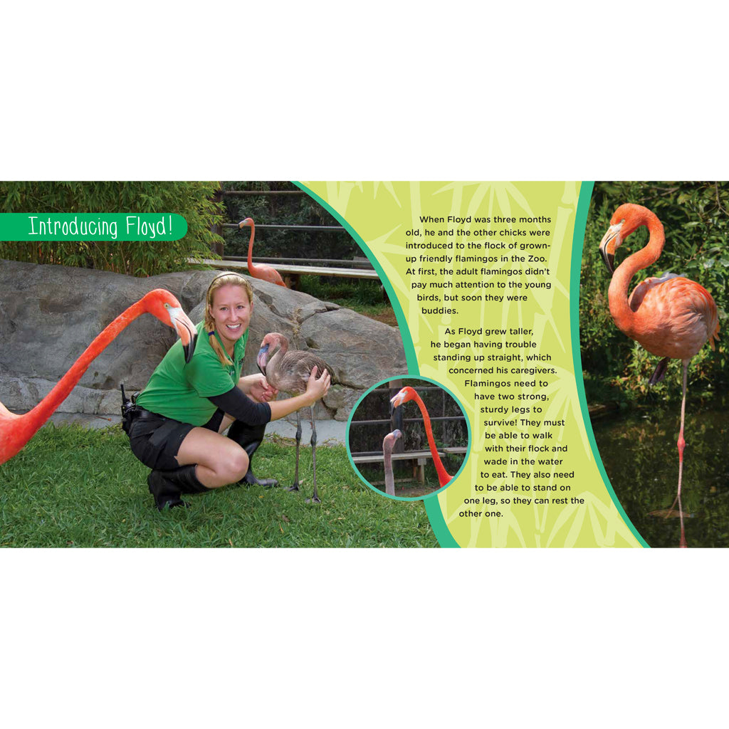 Fabulous Floyd: The True Story of a Flamingo Who Never Gave Up