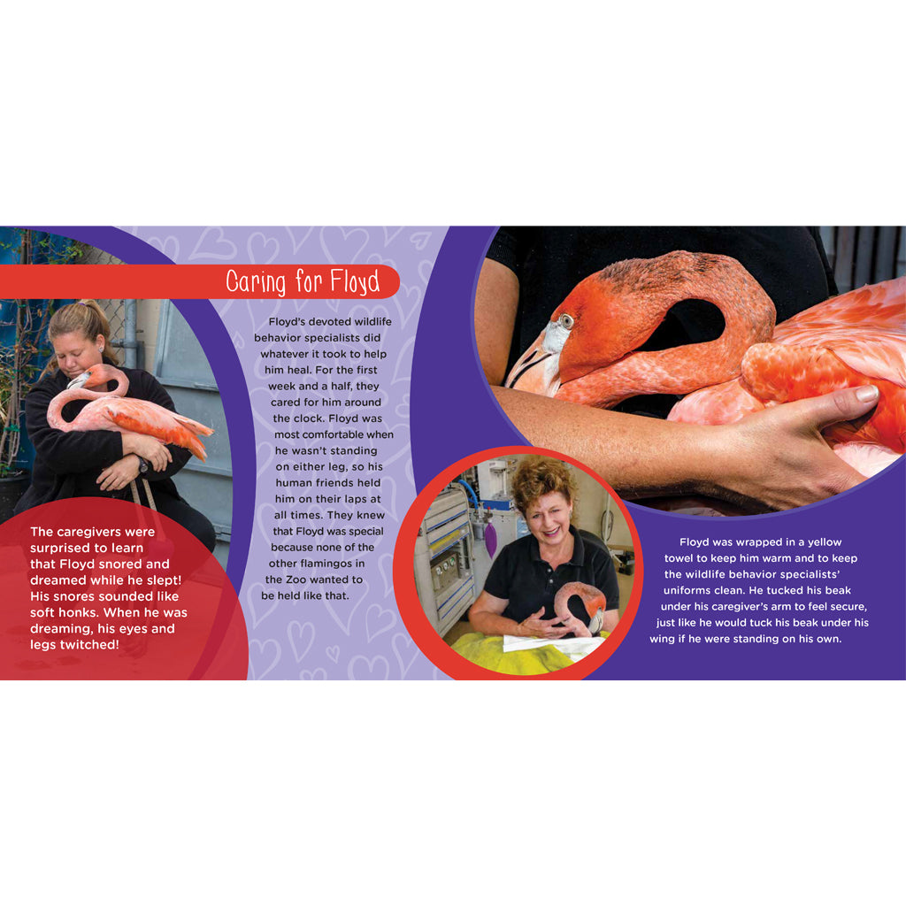 Fabulous Floyd: The True Story of a Flamingo Who Never Gave Up