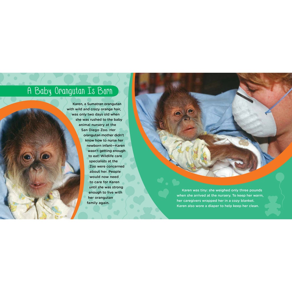 Karen's Heart: The True Story of a Brave Baby Orangutan