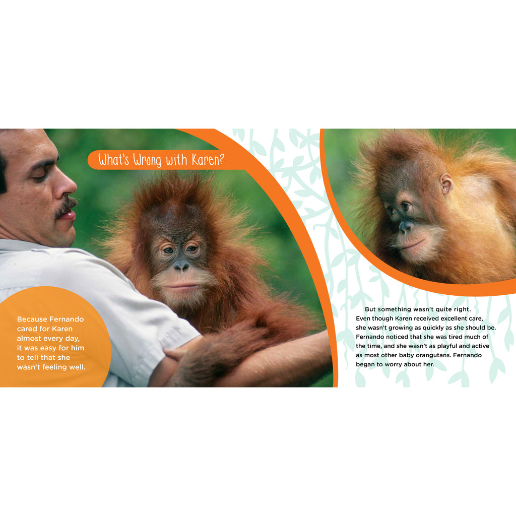 Karen's Heart: The True Story of a Brave Baby Orangutan