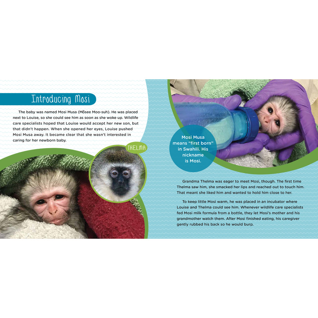 Mosi Musa: A True Tale about a Baby Monkey Raised by His Grandma