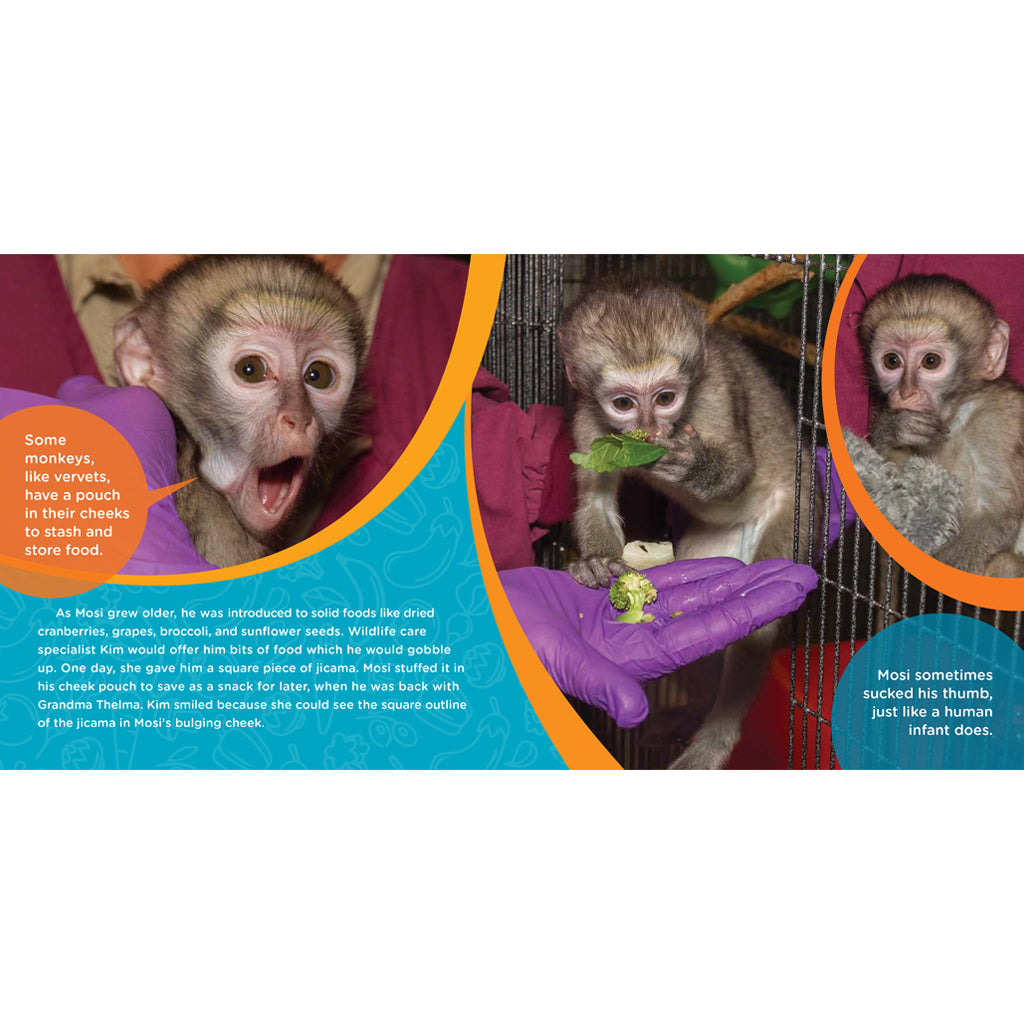 Mosi Musa: A True Tale about a Baby Monkey Raised by His Grandma