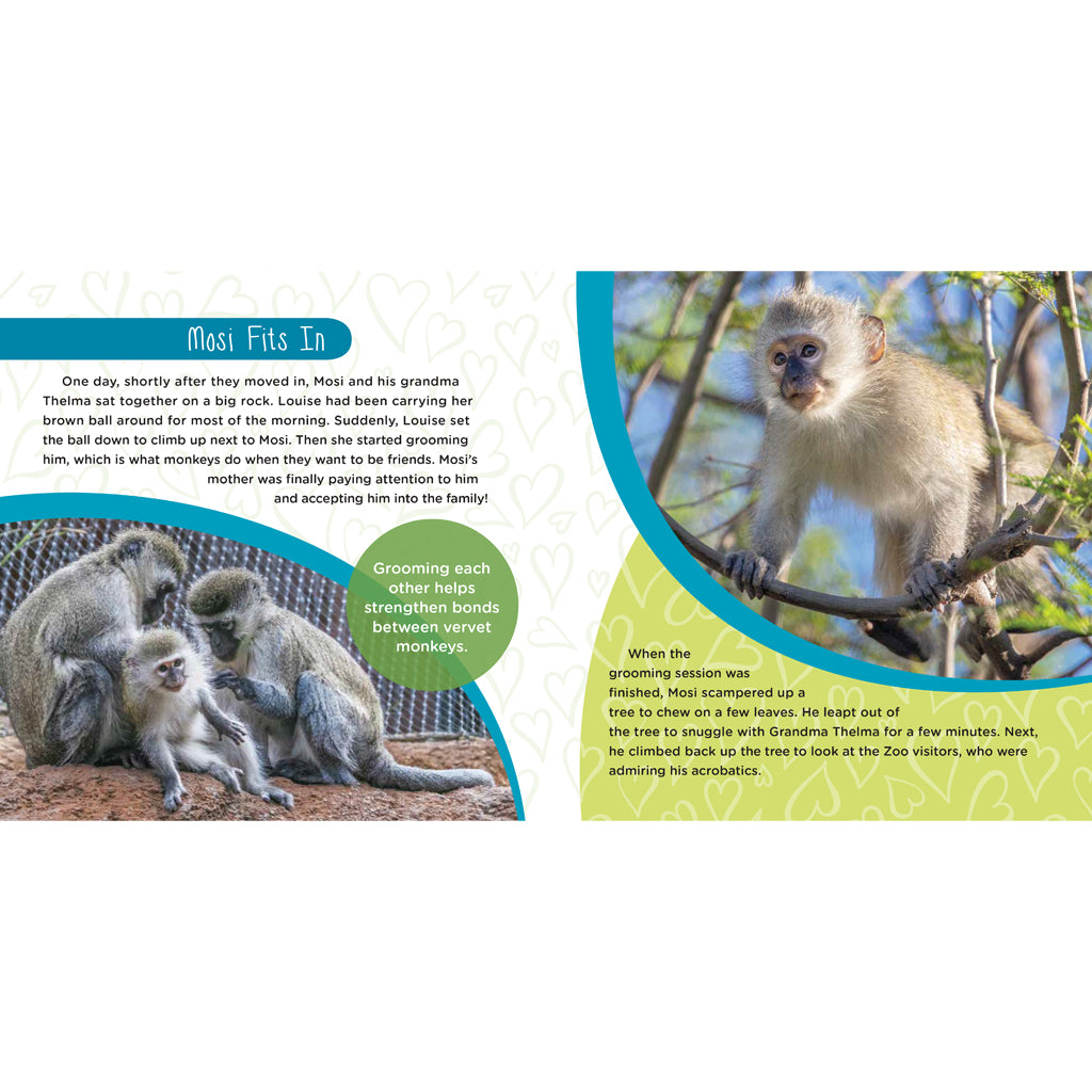 Mosi Musa: A True Tale about a Baby Monkey Raised by His Grandma