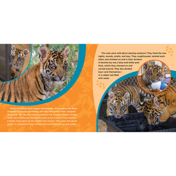 Saving Moka: The True Tale of a Rescued Tiger Cub - ShopZoo
