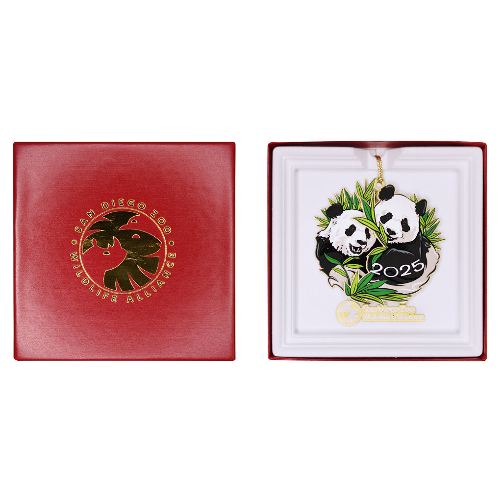 2025 Annual Ornament - Yun Chuan & Xin Bao