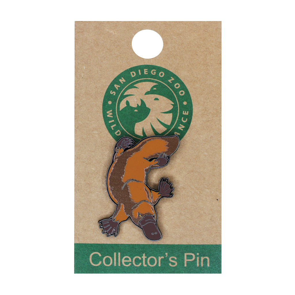 BROWN PLATYPUS TRADING PIN SOUVENIR COLLECTIBLE SDZWA
