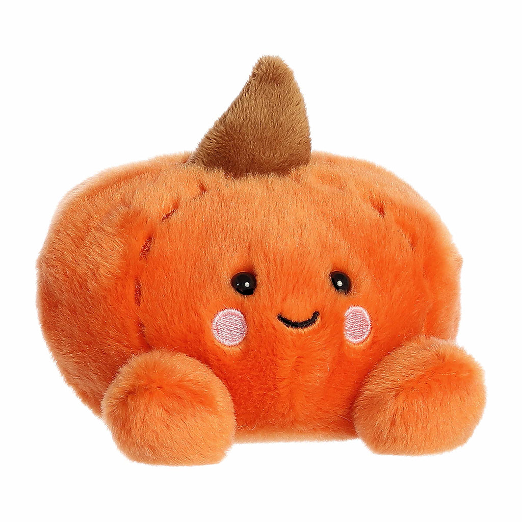 Paisley The Pumpkin Palm Pal