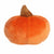 Paisley The Pumpkin Palm Pal