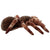 Tarantula Spider Eco Plush