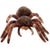 BROWN TARANTULA SPIDER PLUSH PELUCHES PLUSHIE ARACHNID