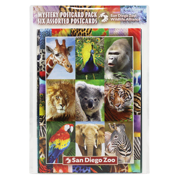 コレクション Postal card SDZWA Assorted Postcard Pack - ShopZoo