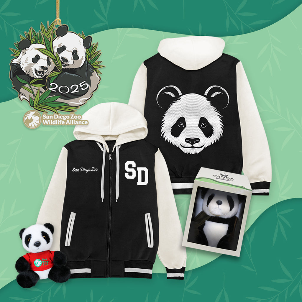 Giant Panda Exclusive Merchandise