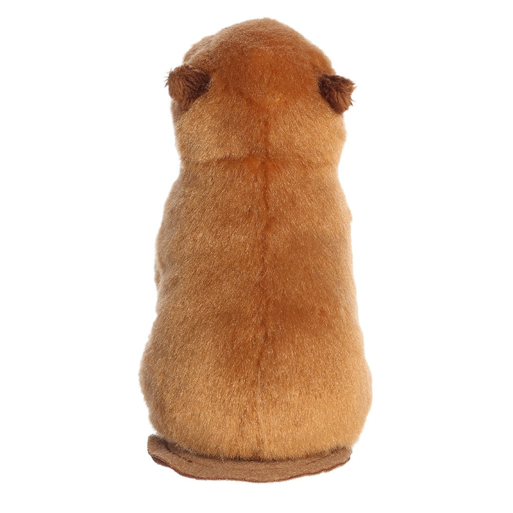 Capybara Shoulder Friend Mini Plush
