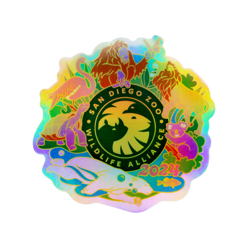 Rose Parade 2024 Holographic Sticker ShopZoo   STICKER2024SDZWAROSEPARADE127001040 1600x 