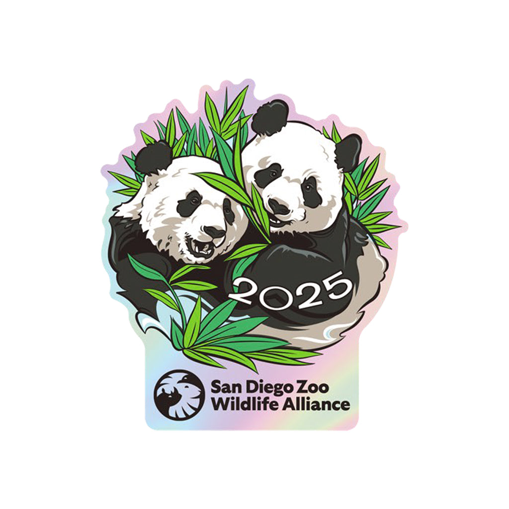 2025 Parade-Inspired Giant Panda Metallic Sticker