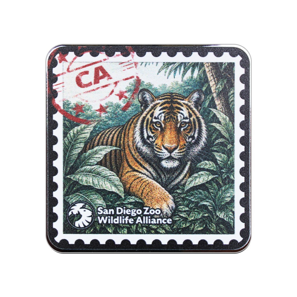 TIGER STAMP DESIGN CHROME STICKER DECAL SAN DIEGO ZOO WILDLIFE ALLIANCE