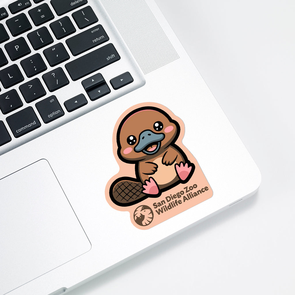 Cute Platypus Sticker