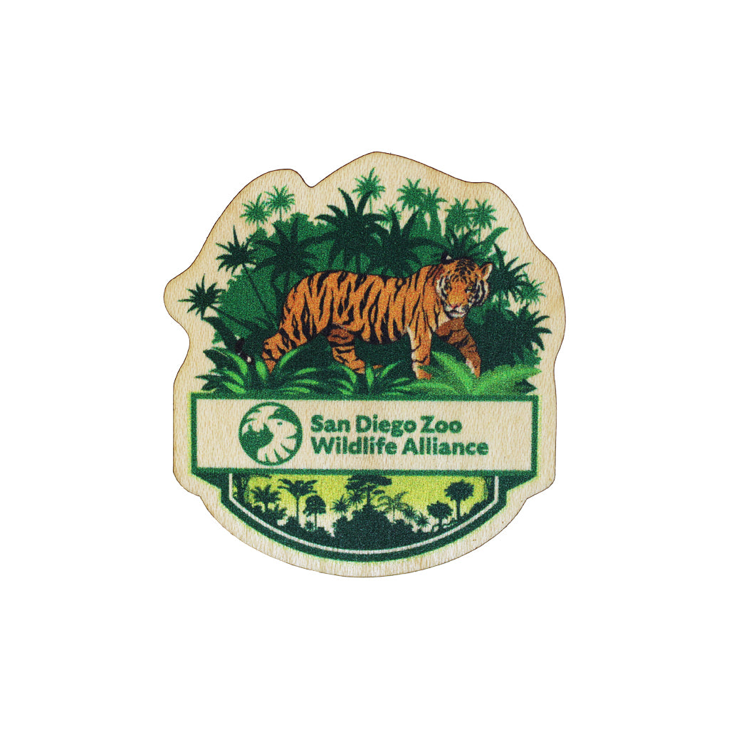 WOODEN TIGER STICKER SDZWA