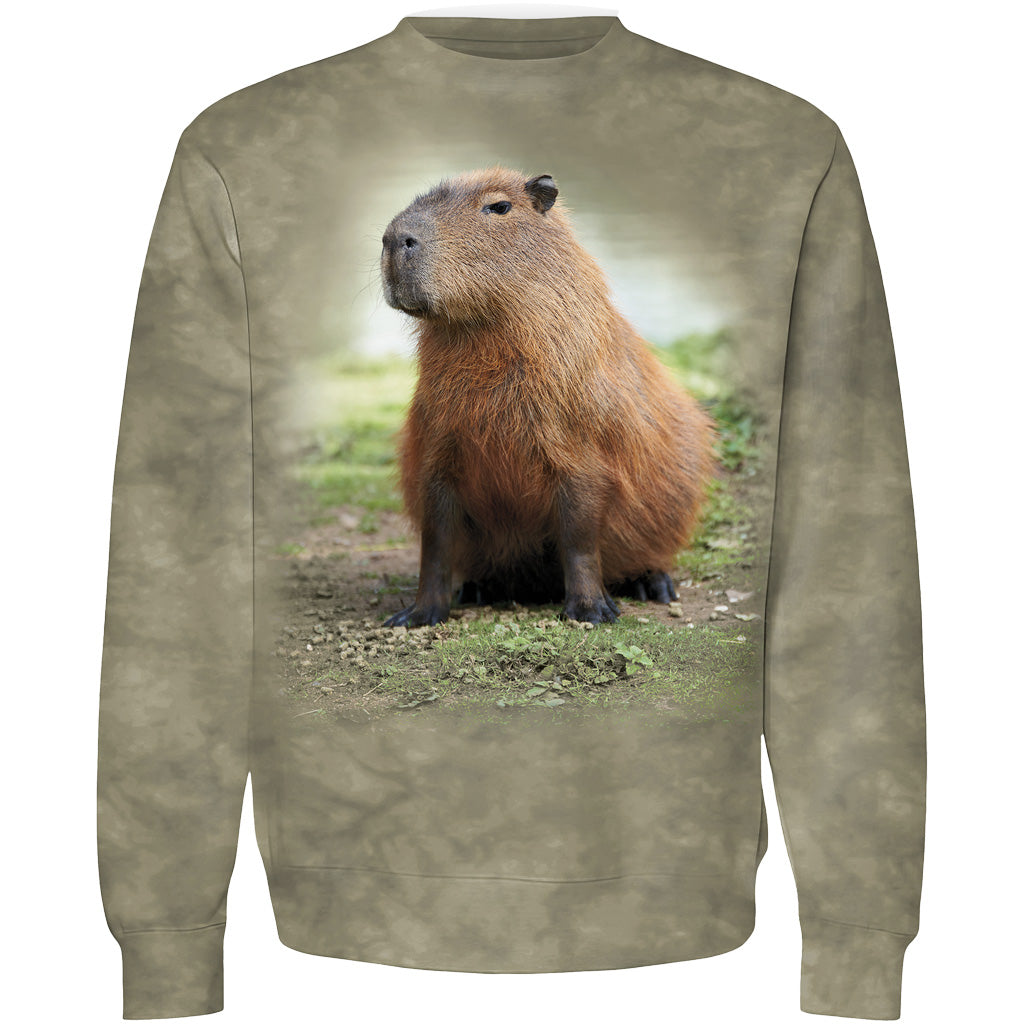 SAN DIEGO ZOO FULL BODY CAPYBARA CREW PULLOVER SWEATSHIRT IN SAGE GREEN TIE DYE