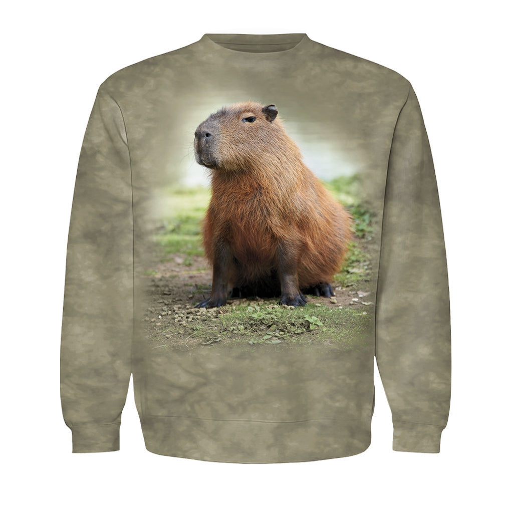 YOUTH KIDS CAPYBARA SAGE GREEN TIE DYED CREW NECK SWEATSHIRT
