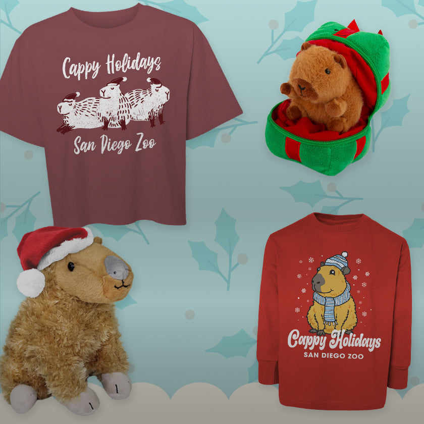 Cappy Holidays Merch