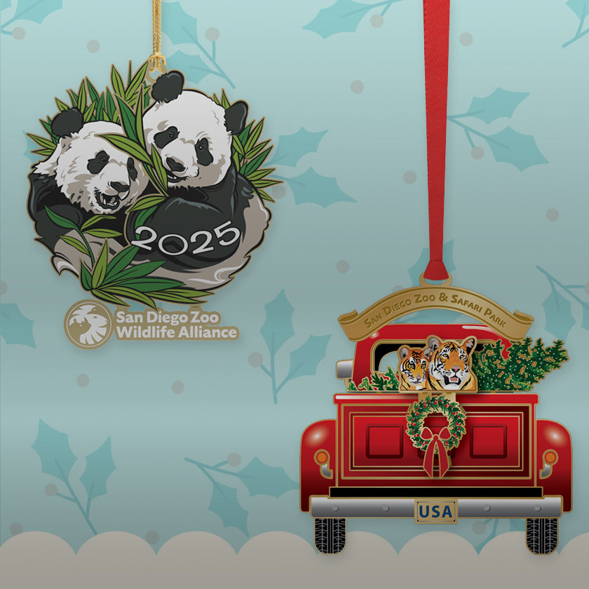 Holiday Wildlife Ornaments
