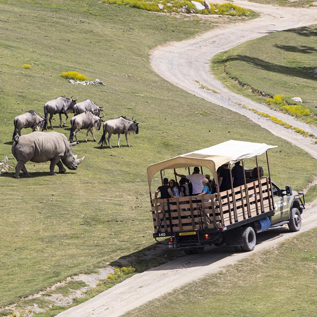 Safari Excursions Tour at the San Diego Zoo Safari Park