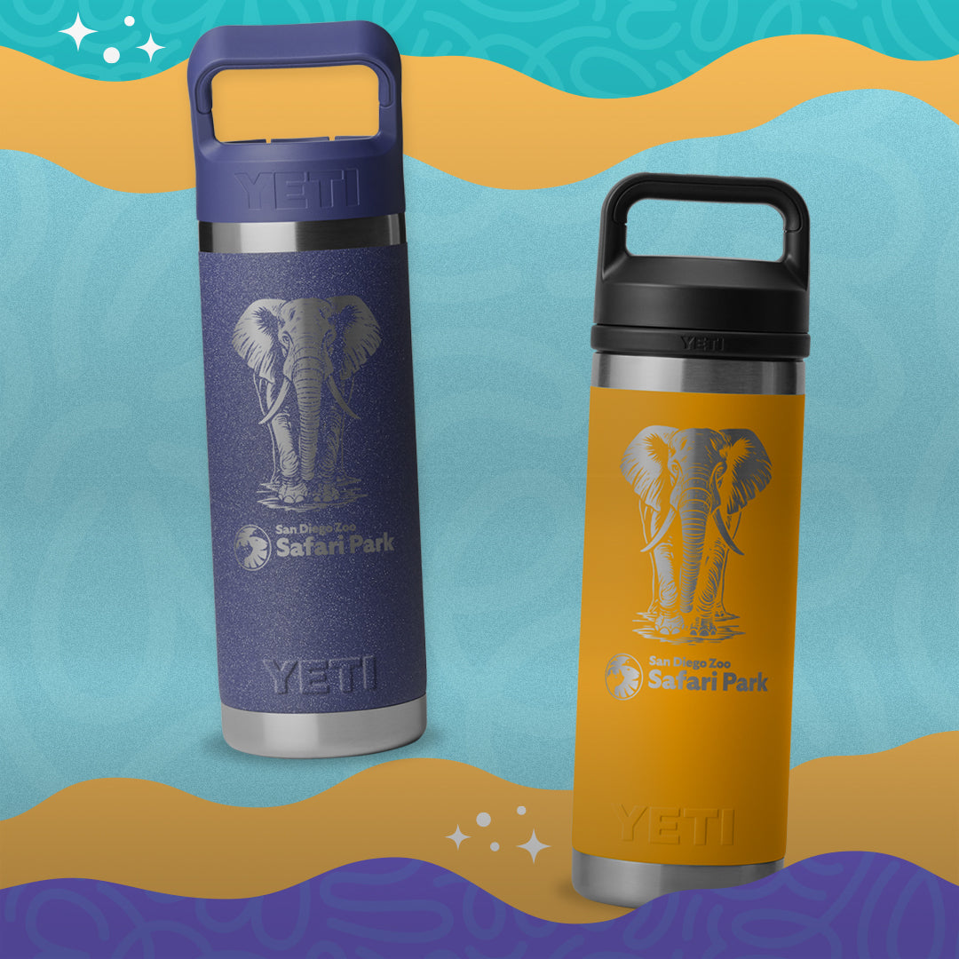 Etched Elephant San Diego Zoo Safari Park Yeti 18oz Ramblers