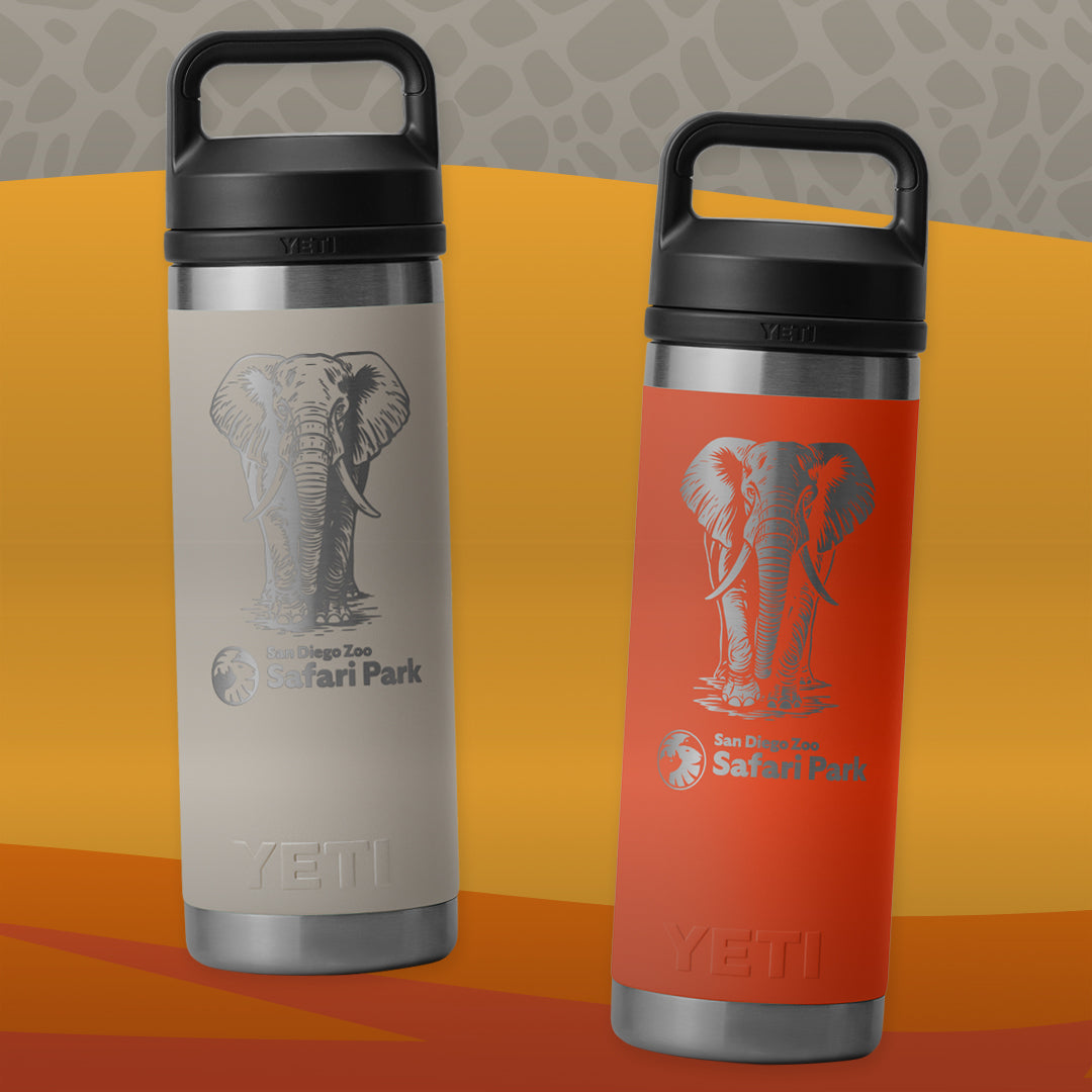 Etched Elephant Yeti Ramblers and Drinkware