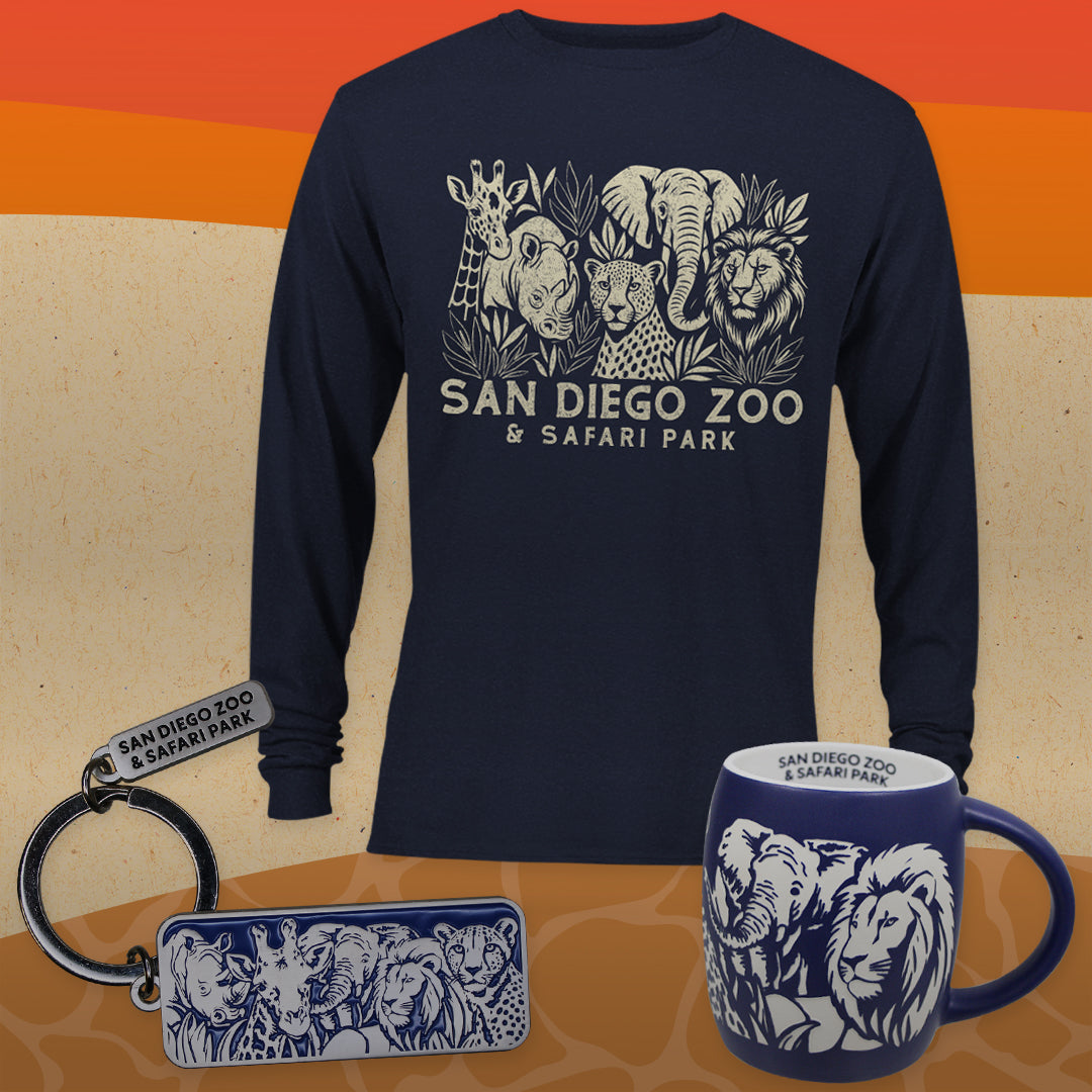 Fave 5 African Wildlife Mech