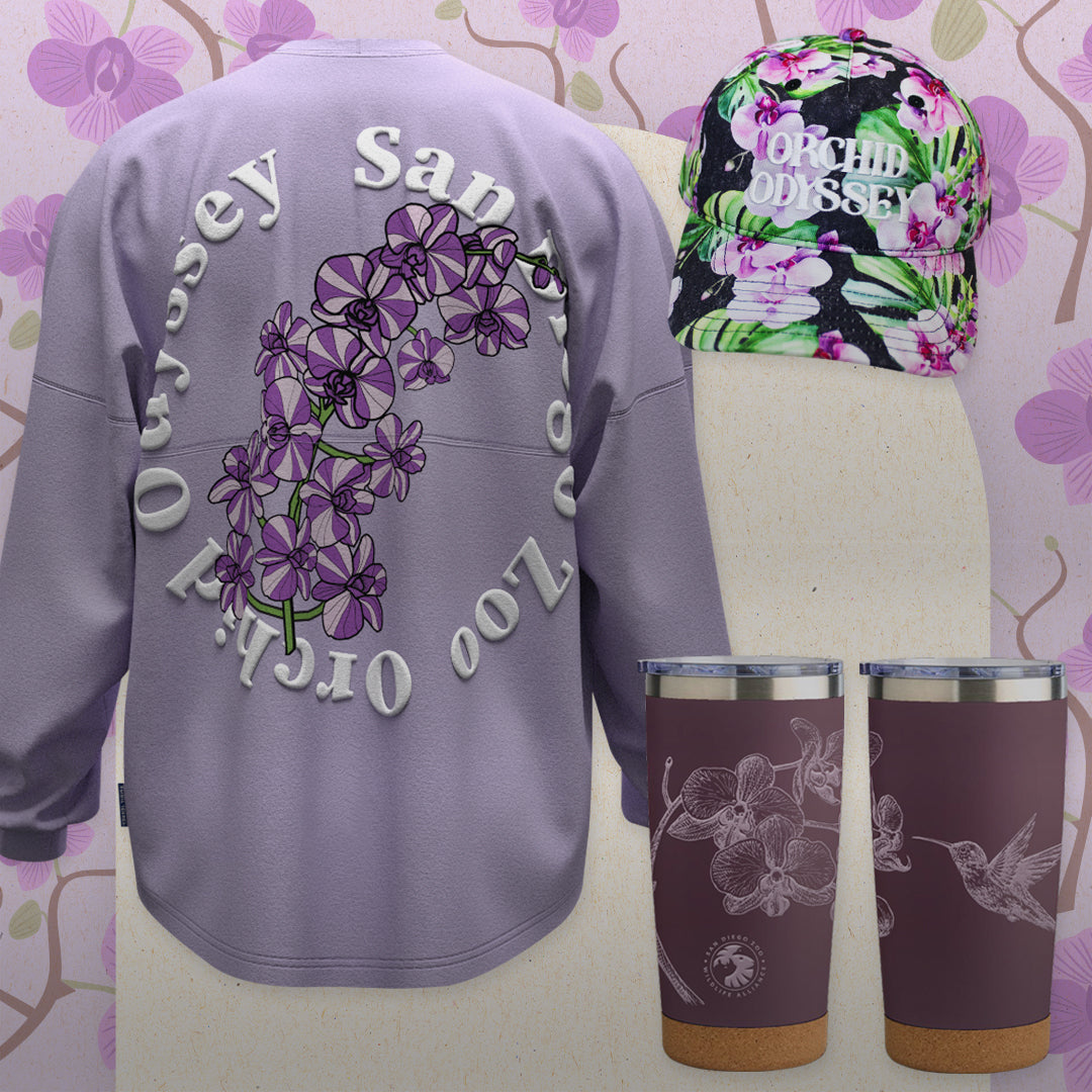Hummingbirds and Orchids Merch