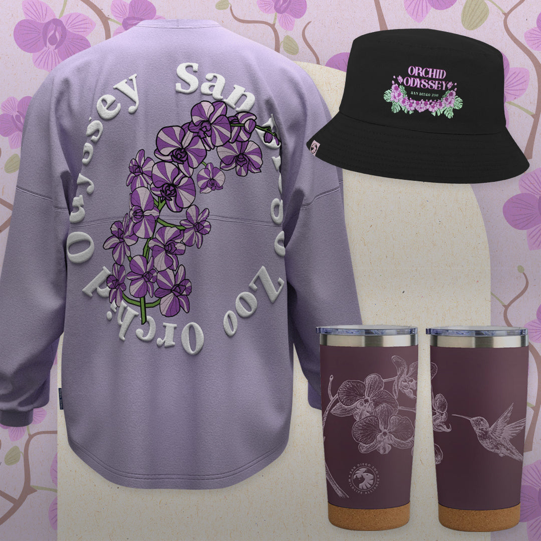 Hummingbirds and Orchids Merch