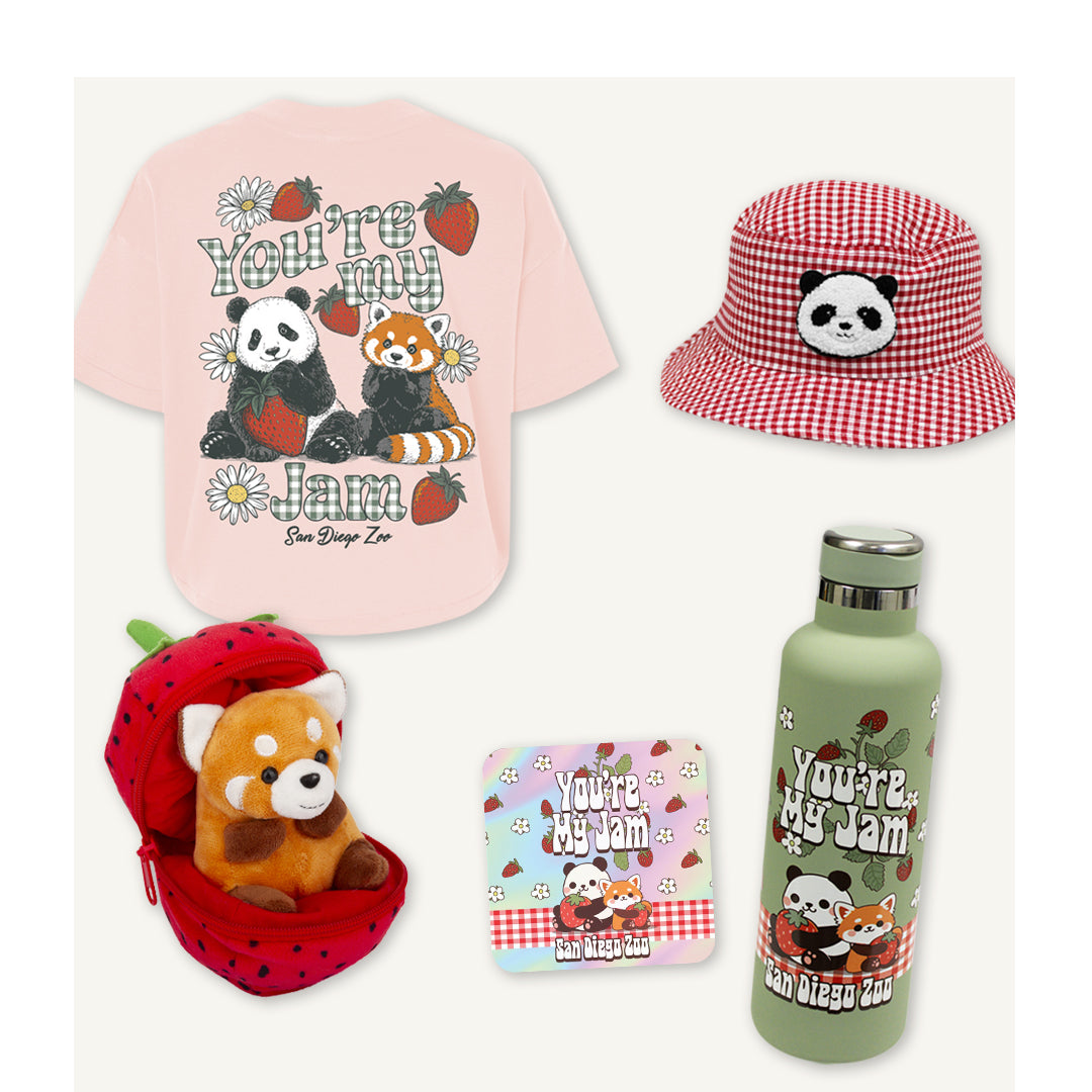 Go on a Panda Picnic with Berry Sweet Finds