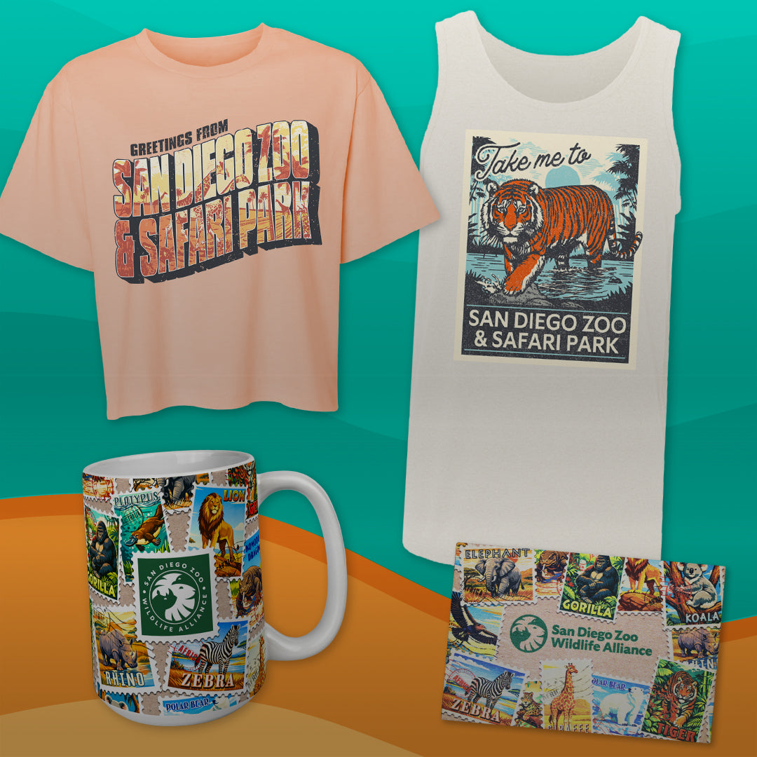 Wish You Were Here San Diego Zoo Merchandise Collection
