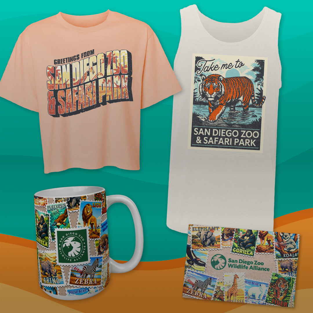 Wish You Were Here San Diego Zoo Merchandise Collection