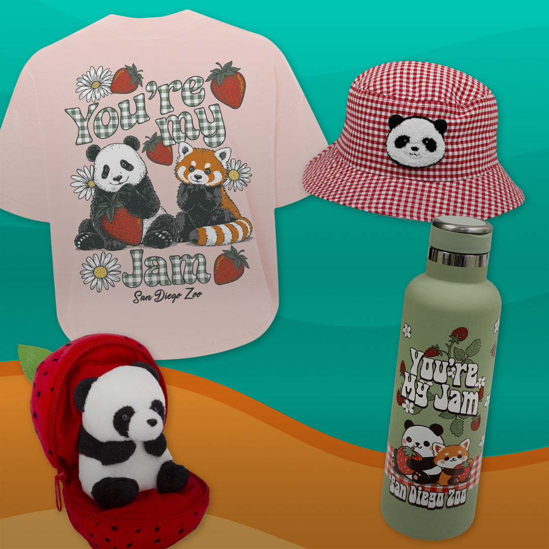 Panda Picnic Merchandise Collection 