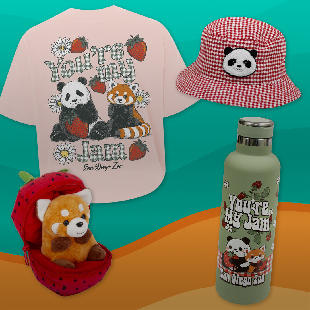 Panda Picnic Merchandise Collection 