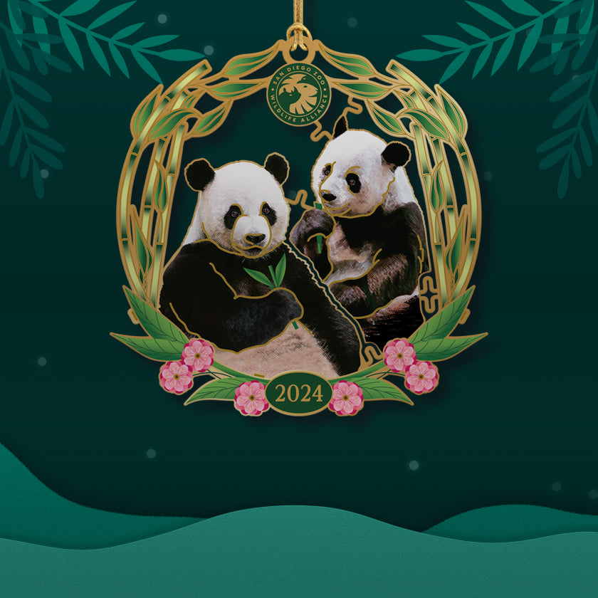 2024 Annual Ornament - Giant Panda Duo