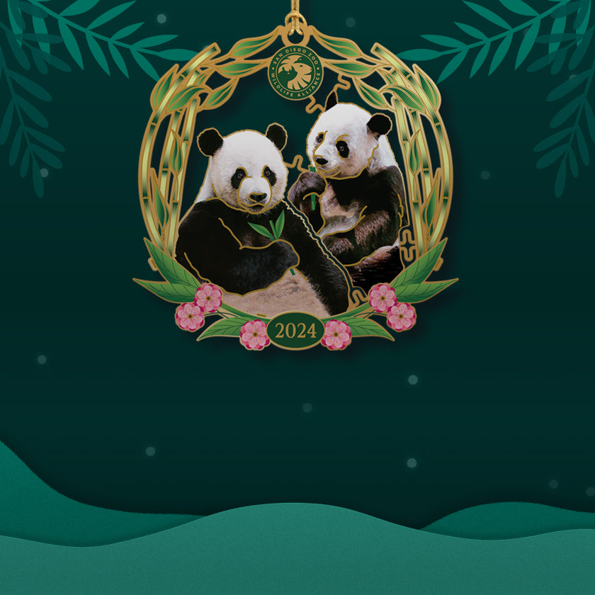 2024 Annual Ornament - Giant Panda Duo